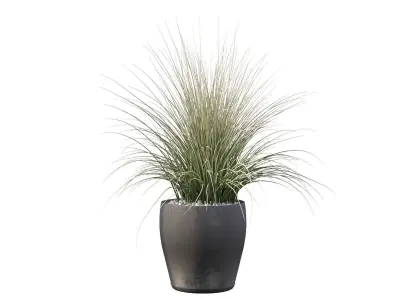 Grass artificial plant in pot 3D model
