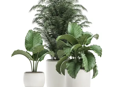 Plants in a white flowerpot for decor and interior design 504 3D model
