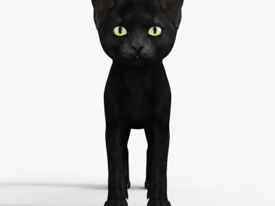 Realistic 3D Black  Kitten Rigged 3D model