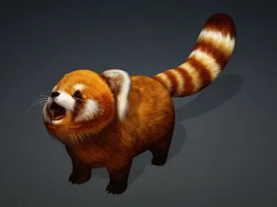 Red Panda-A1 3D model