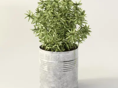 set for the kitchen4 3D model