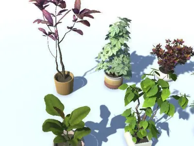 Indoor Potted Plant Lowpoly Low-poly 3D model