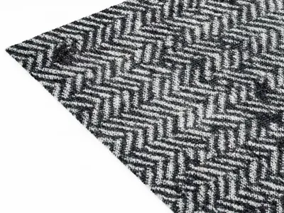 Baxter SCARLET TWILL CARPET 3D model