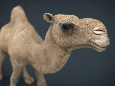 Camel Low-poly 3D model