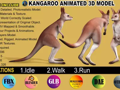 KANGAROO RIGGED ANIMATED 3 Low-poly 3D model