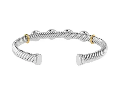 Bezel Setting Bangle Bracelet 2166 3D print model