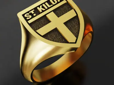 St Kilda Australia Football Fans 3D print model  3D print model