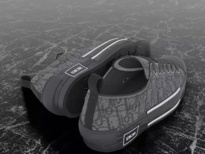 CHRISTIAN DIOR B23 LEAGUE OBLIQUE 3D SHOES Low-poly 3D model