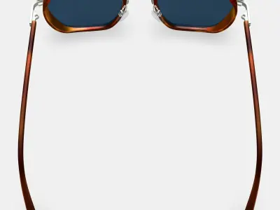 Levins Sunglasses in Rye Tortoise Matte with Antique Silver Low-poly 3D model