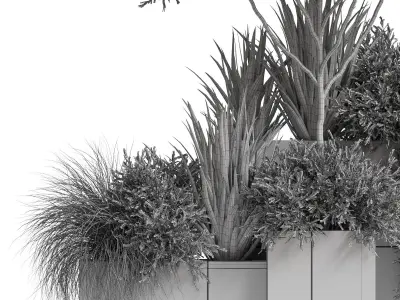 Plants collection 771 3D model