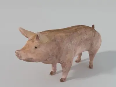 Standard Pig Low-poly 3D model