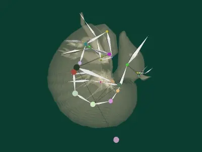 Armadillos Animal Low-poly 3D model