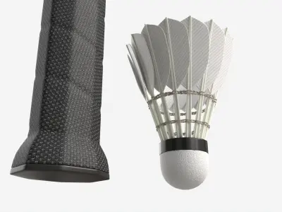Badminton Racquets with Shuttlecock 3D model