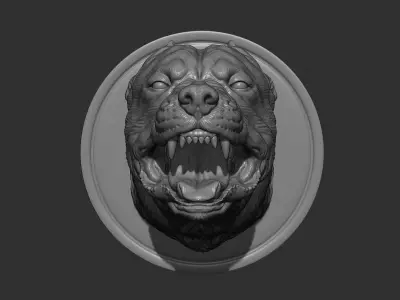 Pitbull grin head 3D print model