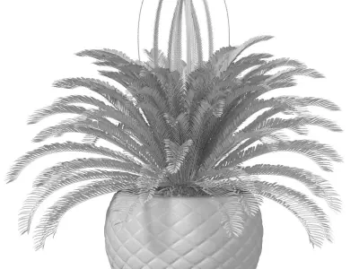 Decorative Evergreen Cycas Palm Tree in modern outdoor flowerpot 3D model
