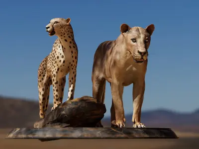 Lion and Cheetah - Digital Model and Textures Low-poly 3D model