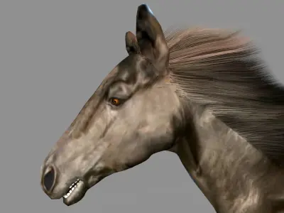 Black Stallion Low-poly 3D model