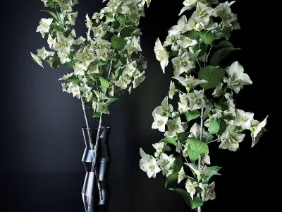 Flower collection 1 flowers 3D model