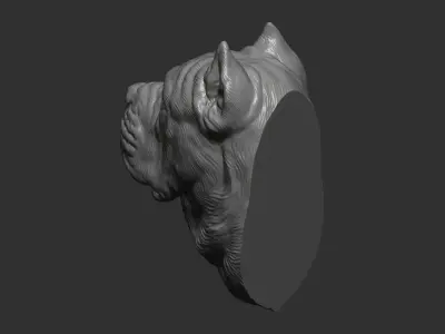 Canne Corso dog 3D print model