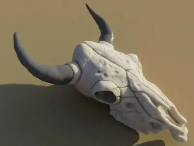 Cow Skull 3D model