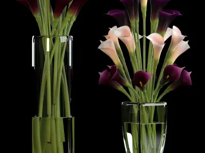 callalilly purple set 3D model