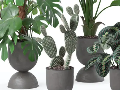 Plants collection 143 3D model