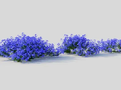 Lobelia erinus a 3D model
