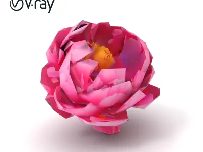 Exquisite 3D Peony Flower Model Pack Low-poly 3D model