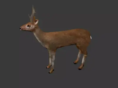 Roe Deer Stag - game model Low-poly 3D model