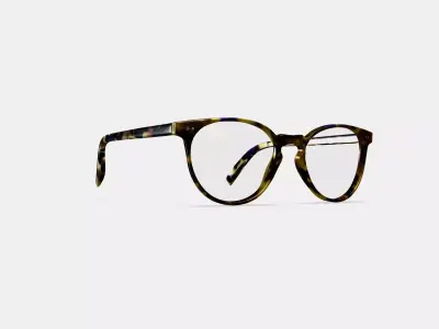 Blakeley Eyeglasses in Violet Magnolia 3D model
