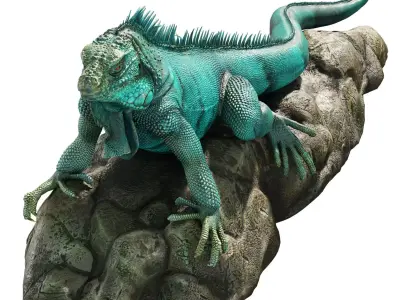 Iguana on a rock 3D model