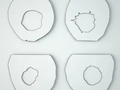 Organic Monkey Pod Mirrors 1 3D model