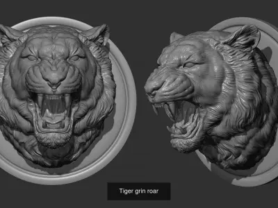 Tigers head collection