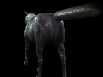 Thoroughbred Arabian Horse WILD WORLD PONY 3 Low-poly 3D model