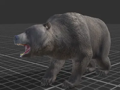Bear Family 1 Low-poly 3D model