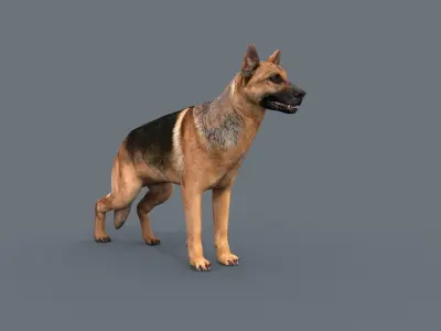 My Dog - 3d animated dog model Low-poly 3D model
