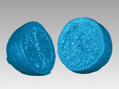Real Lemon Fruit Cut in Two Pieces High Detail 3D Scan 3D print model