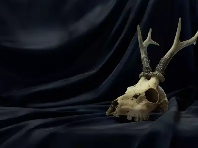 Deadly Skull 01 Low-poly 3D model