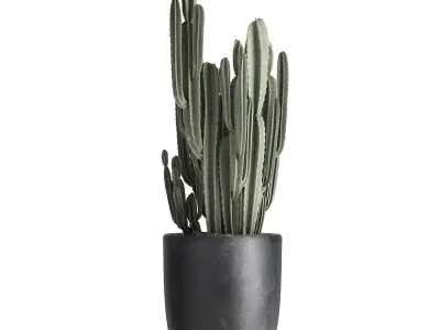 Houseplants in a flowerpot for the interior 961 3D model