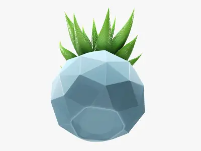 Succulent in planter pot 01 3D model