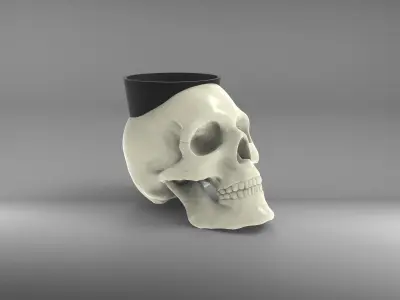 Skull Vase 3D print model
