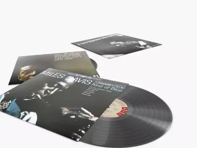 vinyl records  3D model