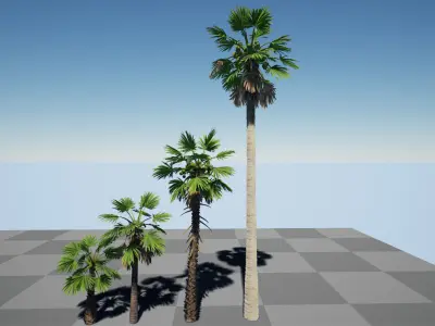 HQ Plants Volume 7 Palms for unreal engine 3D model set of 24 3D model
