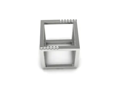 Ring 113b 3D print model