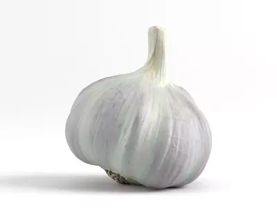 Photorealistic Garlic 3D Scan 3D model