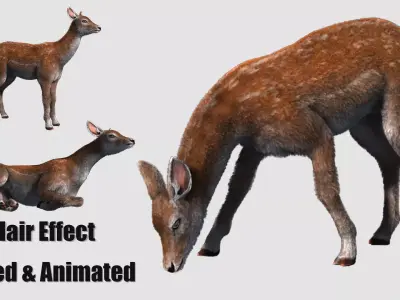 hair effect deer  3D model