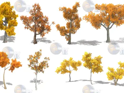 Colorful Tree Collection Pack Lowpoly 3D Model