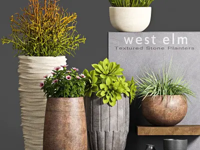 Decorative plant set-57 3D model