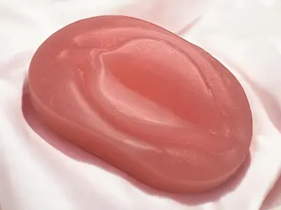 Mold anatomy vagina 3D print model