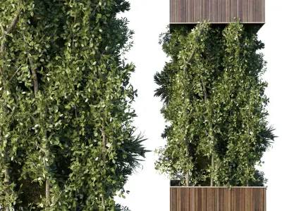 Column plant - pillar plant - column garden ivy 10 3D model